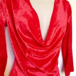 Spectacular, luxurious velvet top with a dropped neck