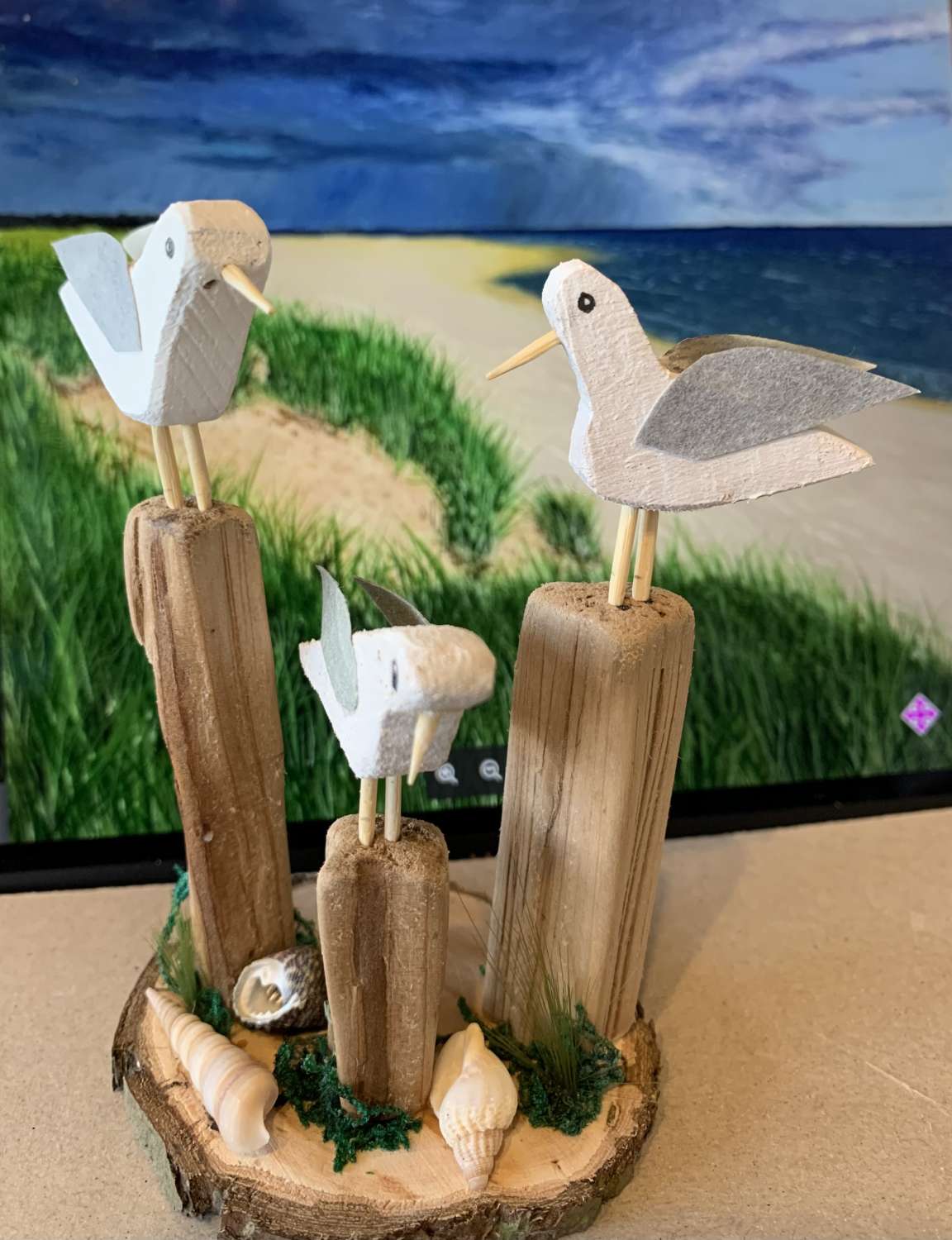 Kooky seagulls Kooky seagulls