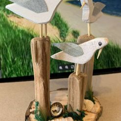 Kooky seagulls