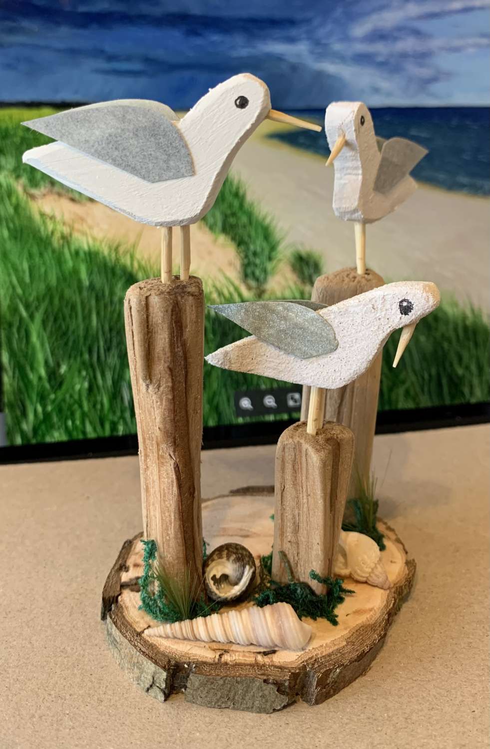 Kooky seagulls Kooky seagulls