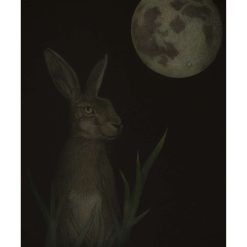A4 Limited Edition From The Darkness Print