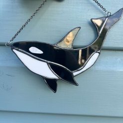 Orca whale