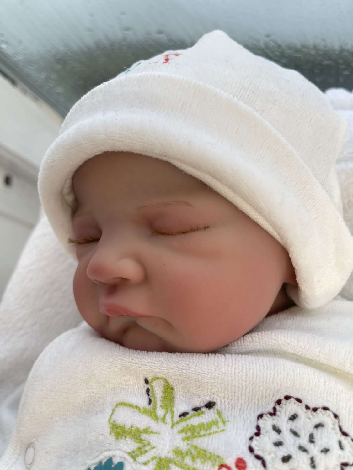 Reborn baby doll Reborn baby doll