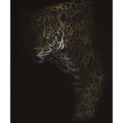 A4 Limited Edition From The Darkness Print