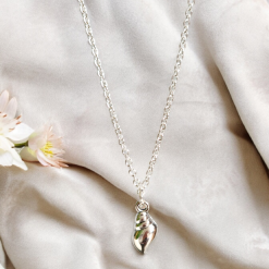 A Beautiful Sterling Silver Seashell Pendant Necklace