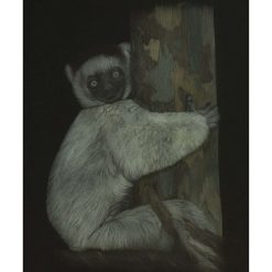 A4 Limited Edition From The Darkness Print