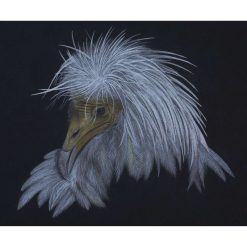 A4 Limited Edition From The Darkness Print