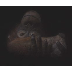 A4 Limited Edition From The Darkness Print