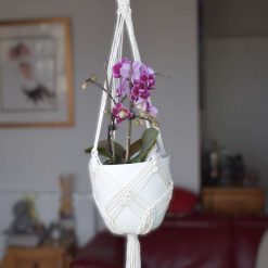 Hanging Basket