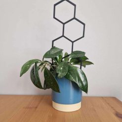 Honeycomb Indoor Plant Trellis – Modern Climbing Plant Support