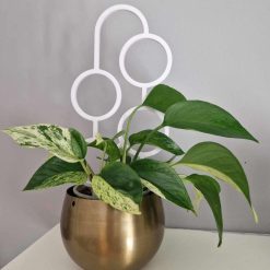 Circular Indoor Plant Trellis – Modern Climbing Plant Support