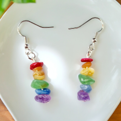A Beautiful Pair of Earrings to Celebrate Pride Month June 2024 2