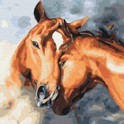 Horse Affection Painting by Numbers Set