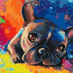 Rainbow Frenchie Painting by Numbers set.