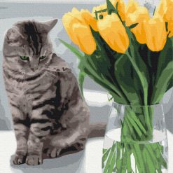 Cat and Vase of Tulips Painting by Numbers Set