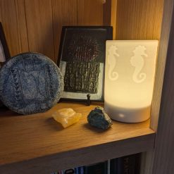 Seahorse Night Light