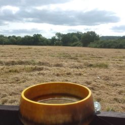 Resin bowl brown 2