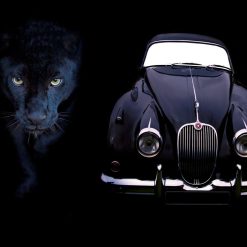 Jaguar XK150 3.4 Litre Fixed Head Coupe and Pacing Jaguar