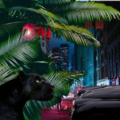 Urban Jungle (Jaguar XK150 3.4 Litre Fixed Head Coupe)