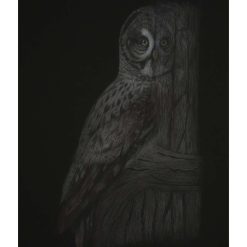 Fine Art Print - A4 Limited Edition Spirit Of The Trees Print