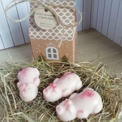 Wax Melts - Smelly Piglets - Apple Cinnamon