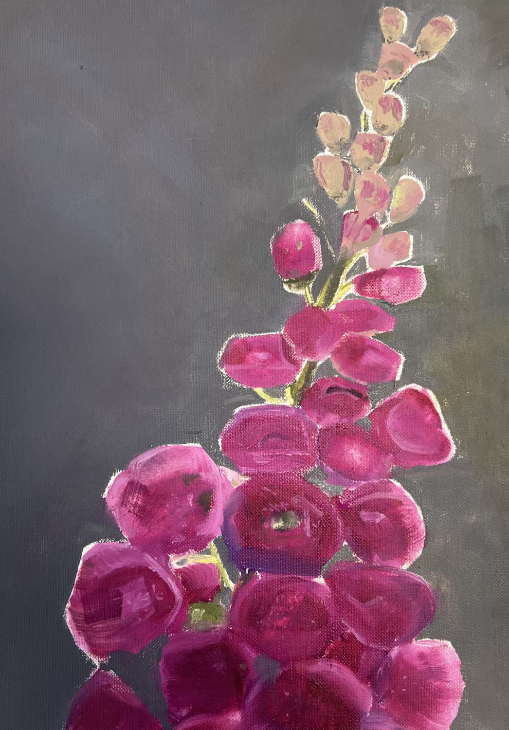 Art Print. Foxgloves Art Print. Foxgloves