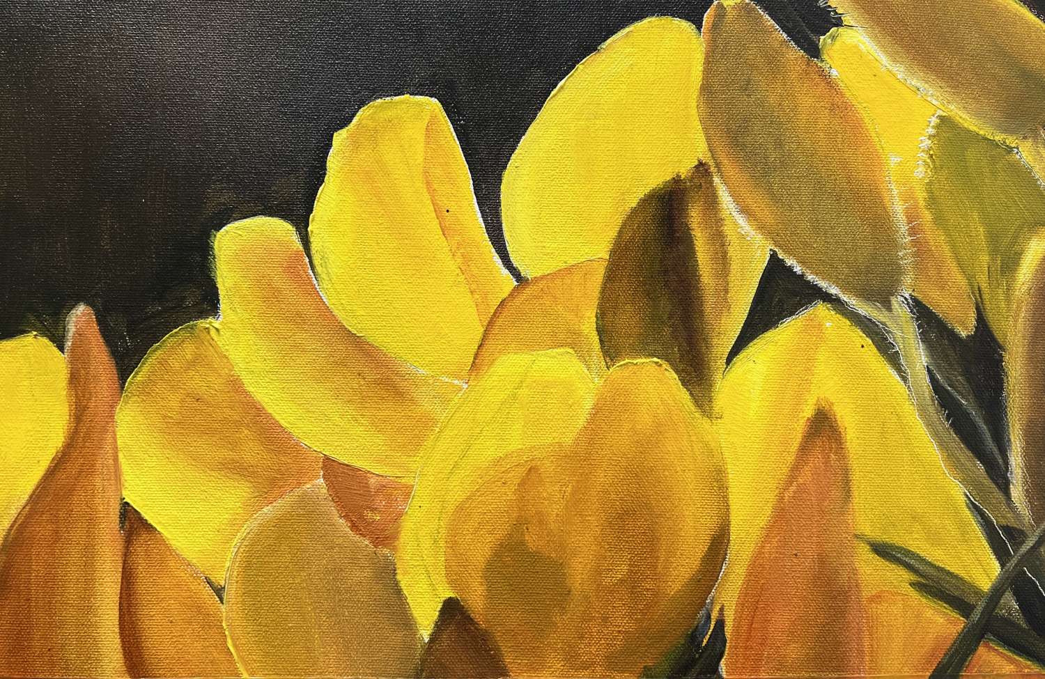 Art Print. Gorse Art Print. Gorse