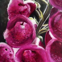 Art Print. Foxgloves