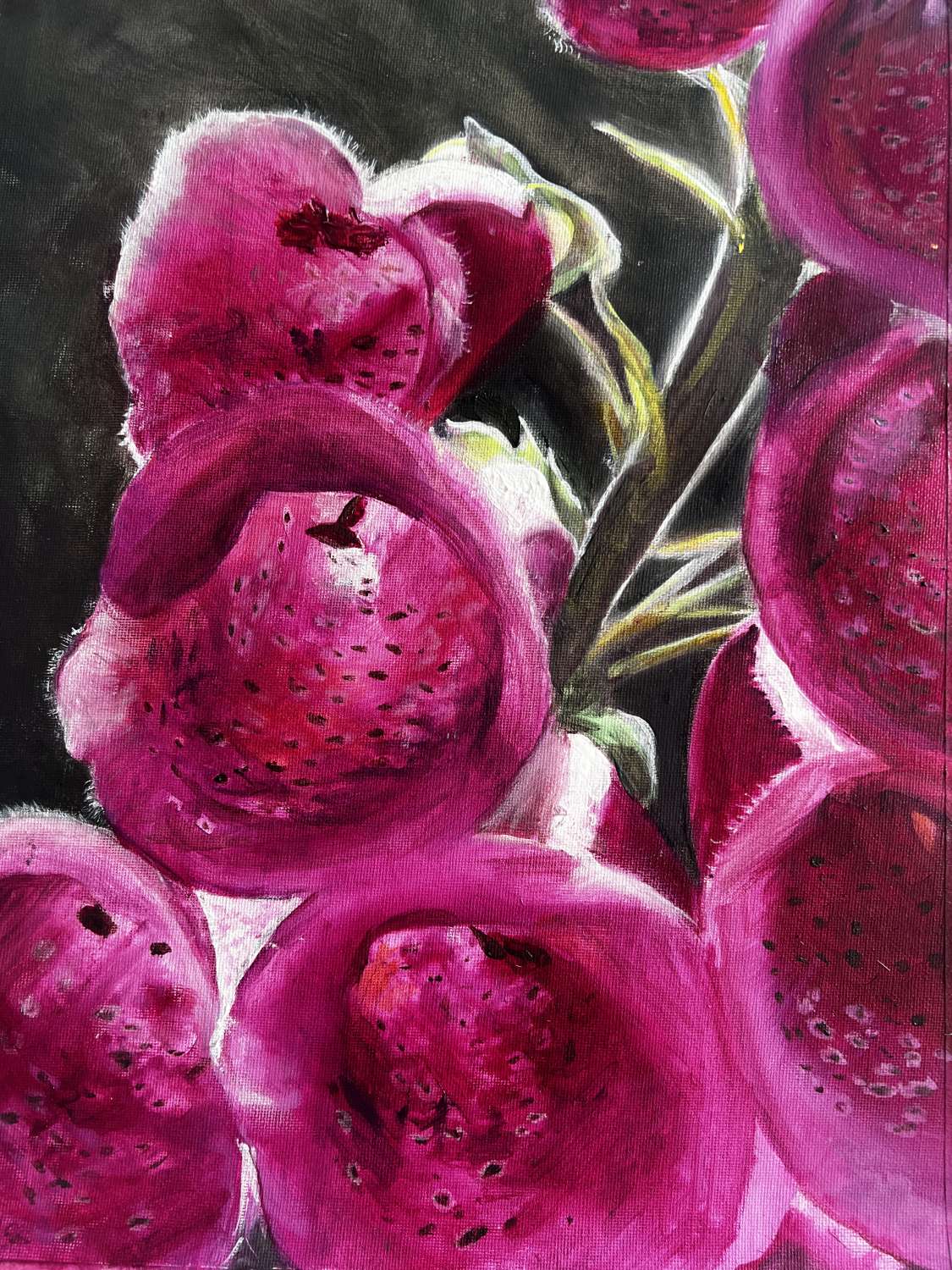 Art Print. Foxgloves Art Print. Foxgloves