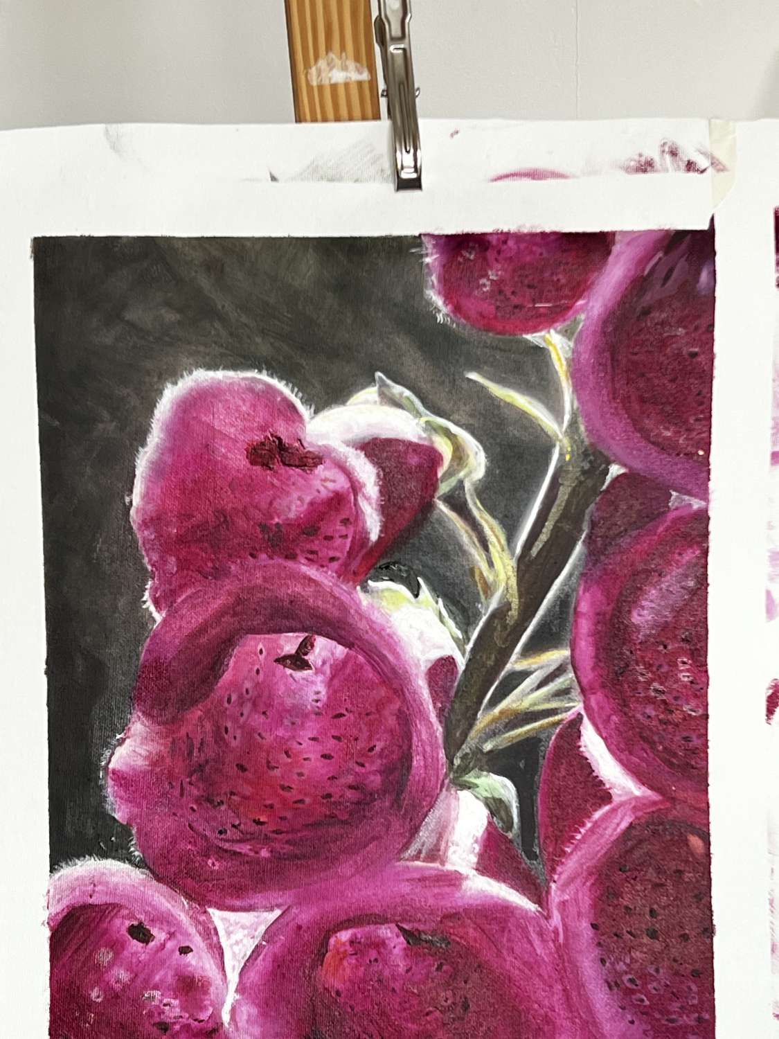 Art Print. Foxgloves Art Print. Foxgloves