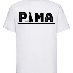 P cat MA