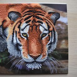 Diamond Art / Crystal Art Card