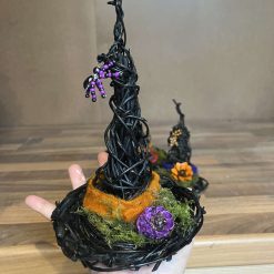Willow witch hat 3 Willow witch hat 3