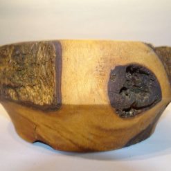 Rustic Bowl 6
