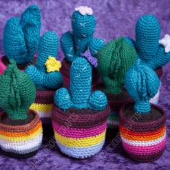 Adult themed Pride Plants