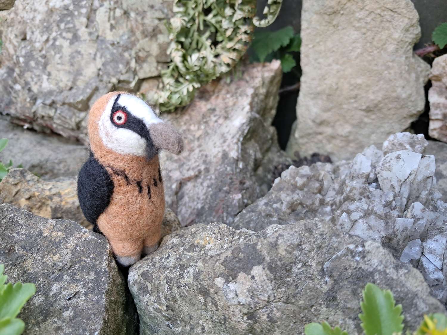 Wild Woolley Friends - Lammergeier Wild Woolley Friends - Lammergeier