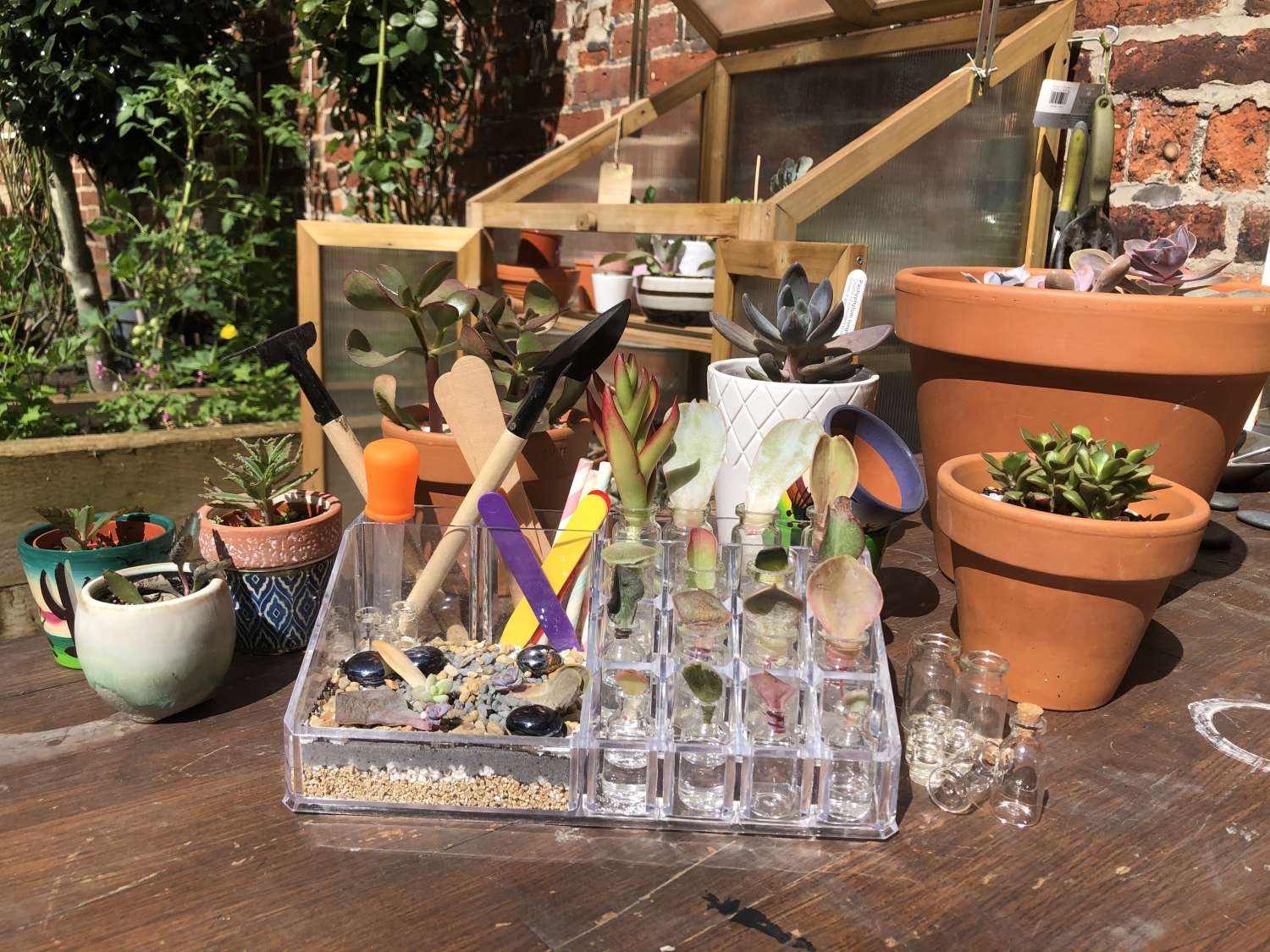 Propagation starter kits Propagation starter kits