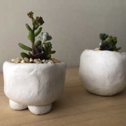 Pixie pots