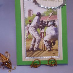 Cricket Match Birthday Card
