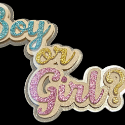 Boy or girl cake topper