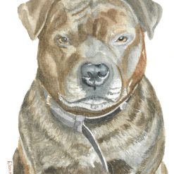 Watercolour Pet Portrait 5x7 inches