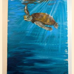 Turtle