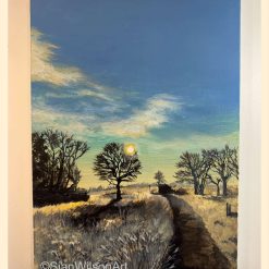 Walking through Winter