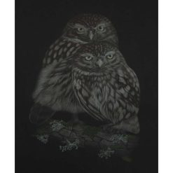Fine Art Print - A4 Limited Edition Little Owls Print