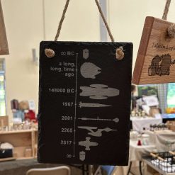 Space Ship Timeline