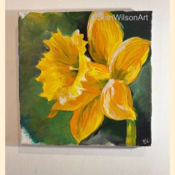 Daffodil