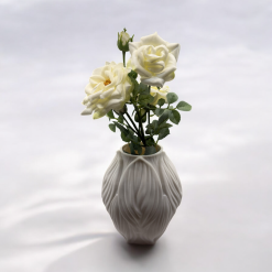 Vase - Contemporary Organic (HOYAS)