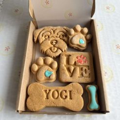 Delivered. Welcome Dog Biscuit Gift Box- medium.