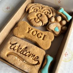 Delivered. Welcome Dog Biscuit Gift Box- medium.