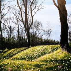 Spring is Here? Acrylic landscape painting 16x20 canvas
